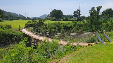 골프장 경험담 태안 스톤비치CC 완벽 가이드 서해 바다와 맞닿은 프리미엄 골프명소