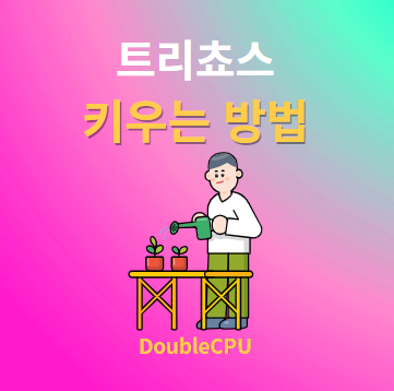 트리쵸스 키우기 물주기