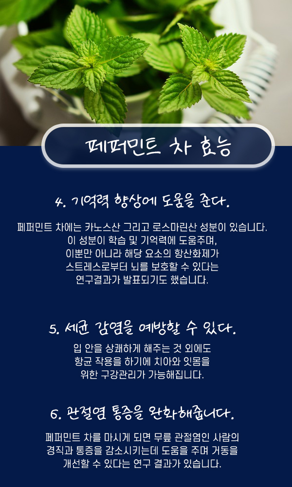 페퍼민트의 효능