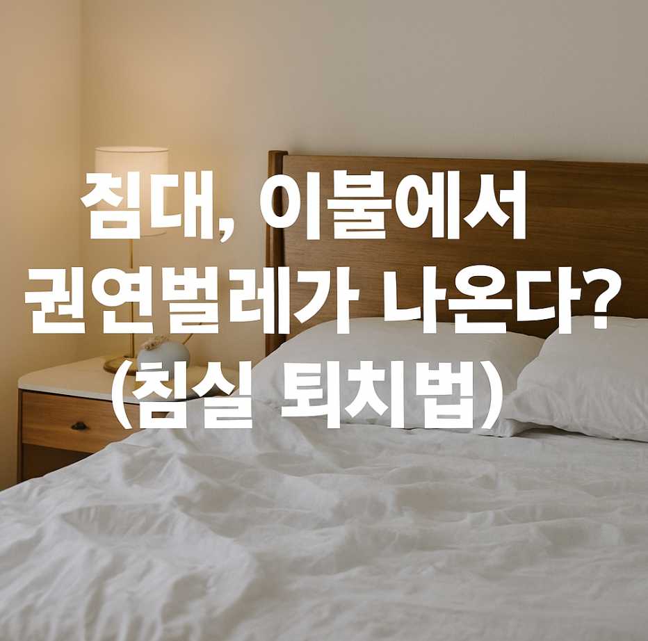침대, 이불에서 권연벌레가 나온다면? (침실 퇴치법)