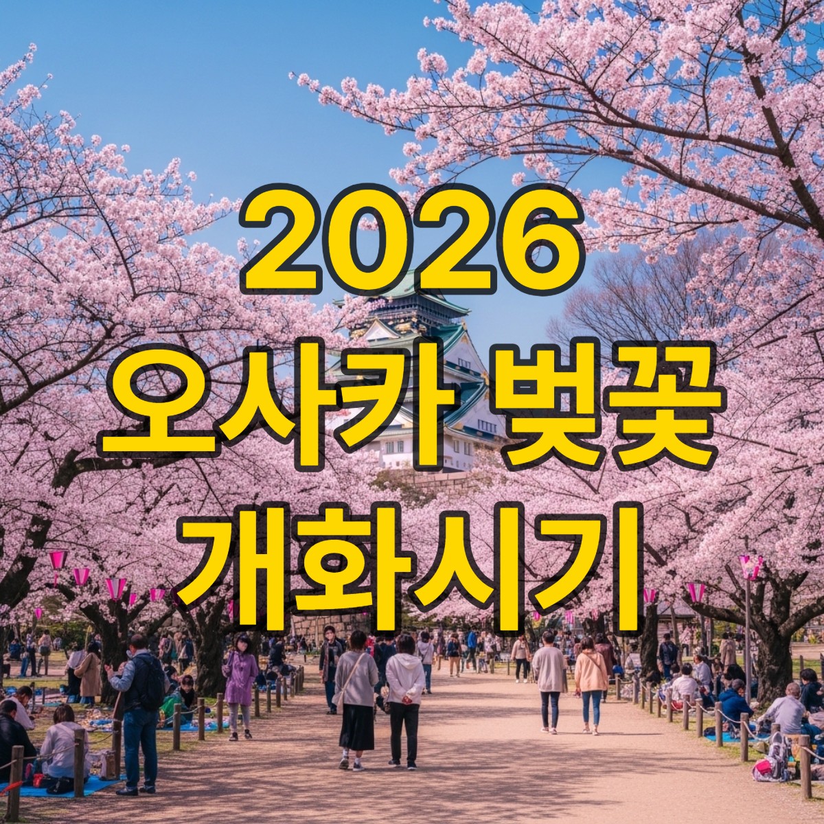 오사카 벚꽃 개화시기