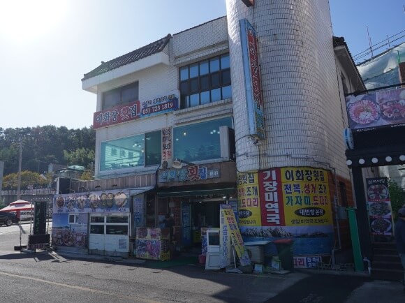 생생정보 생생현장 이화장횟집 기장 대변항 멸치맛집 2025기장멸치축제