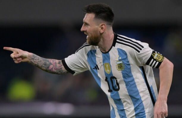 메시-사진입니다.