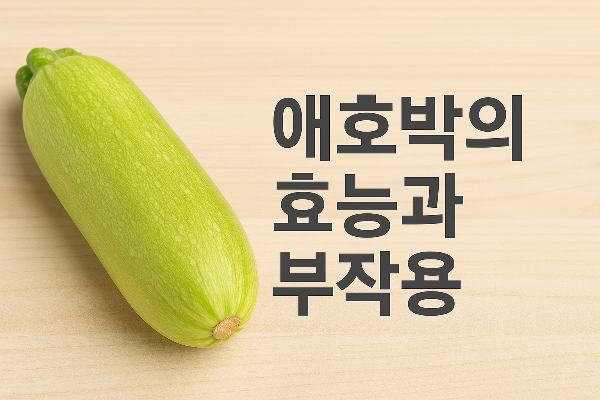 애호박의 효능과 효과 및 부작용 주키니 차이