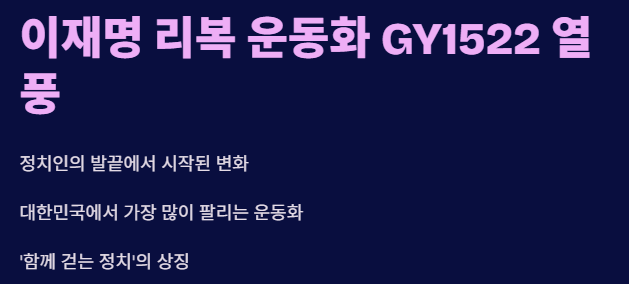 이재명 운동화
