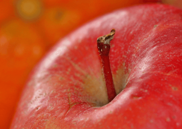 장수 한우랑 사과랑축제