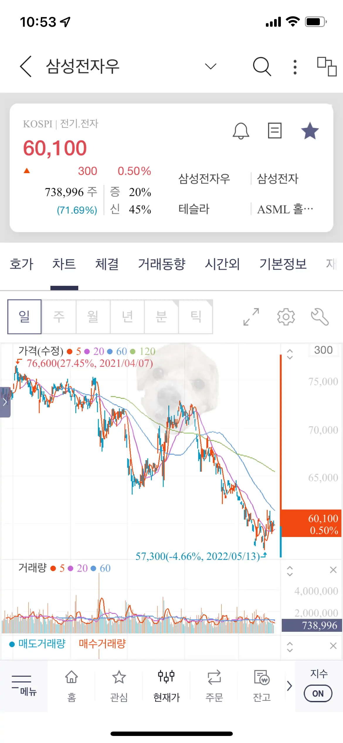 삼성전자 보통주와 삼성전자우 우선주