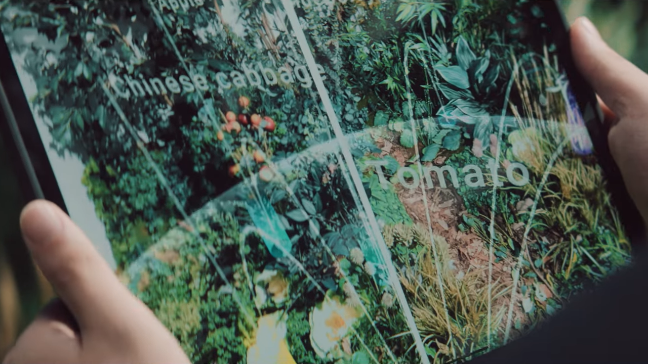 소니 Synecoculture 농업 방식