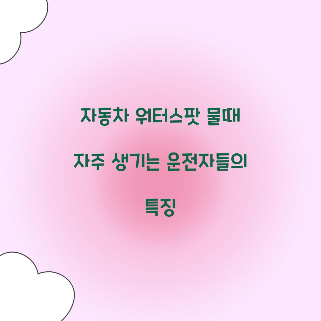 자동차 워터스팟 물때 자주 생기는 운전자들의 특징