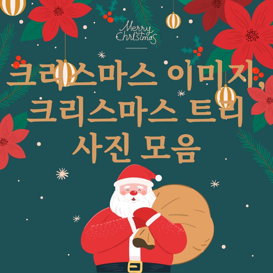 크리스마스 이미지, 크리스마스 트리 사진 모음