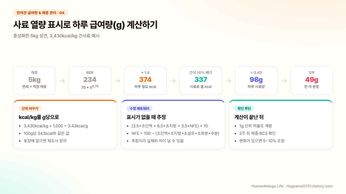 5kg 체중에서 RER 234, 곱하기 1.6으로 374kcal, 간식 10% 빼고 337kcal, 3.43으로 나눠 하루 98g, 한 끼 49g까지 계산하는 흐름도