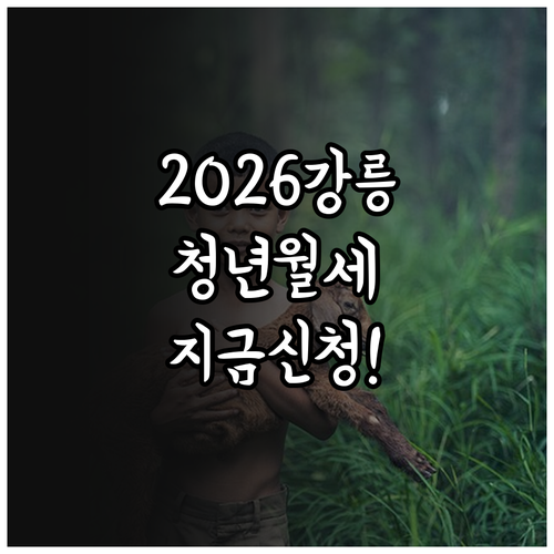 2026년 강릉시 청년월세 지원 대상..