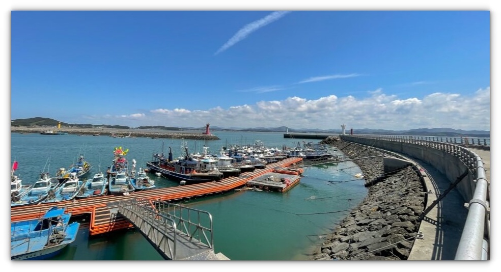 동백꽃 주꾸미 축제 일정