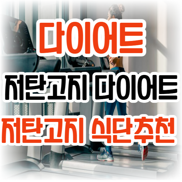 다이어트/ 저탄고지 다이어트 /저탄고지 식단 추천