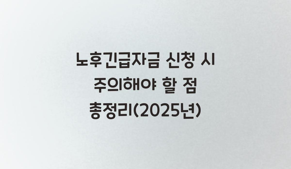 노후긴급자금 신청 시 주의해야 할 점