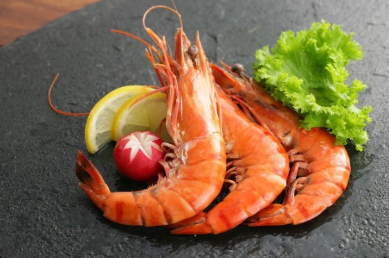 아스타잔틴 추천