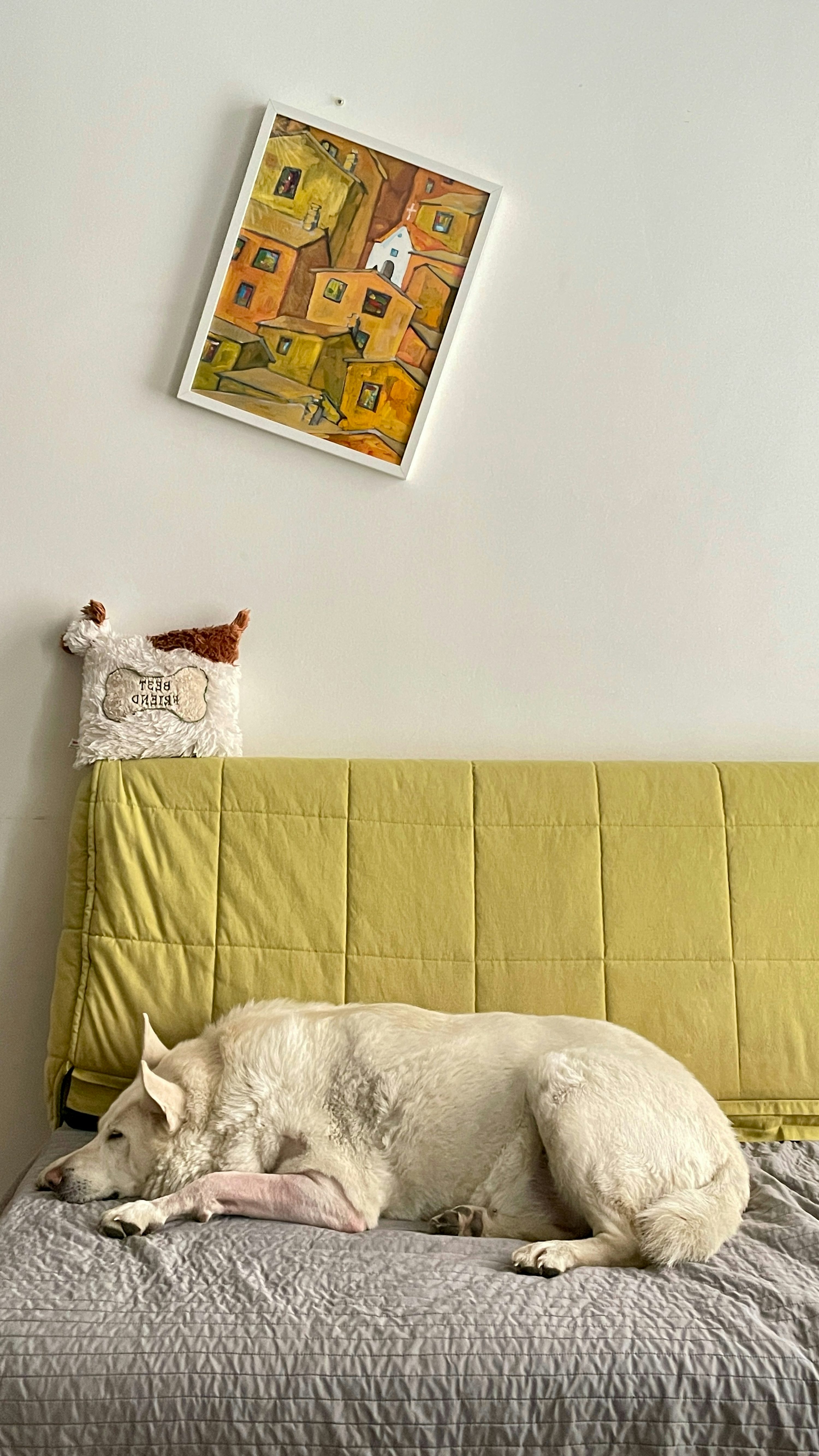 강아지가 새로운 환경에 적응하는 법, &lsquo;낯섦을 익숙함으로 바꾸는 과정&rsquo;