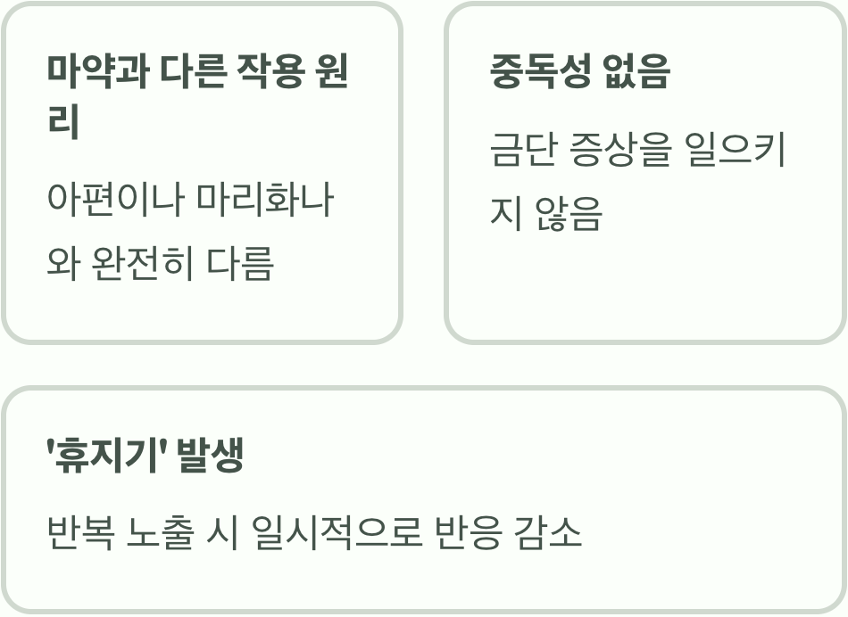 중독성 없는 '안전한' 행복