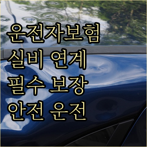 운전자보험 실비 연계: 필수 보장으로..