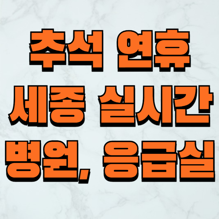 세종 추석 연휴 응급실 병원 약국 실시간 가까운위치