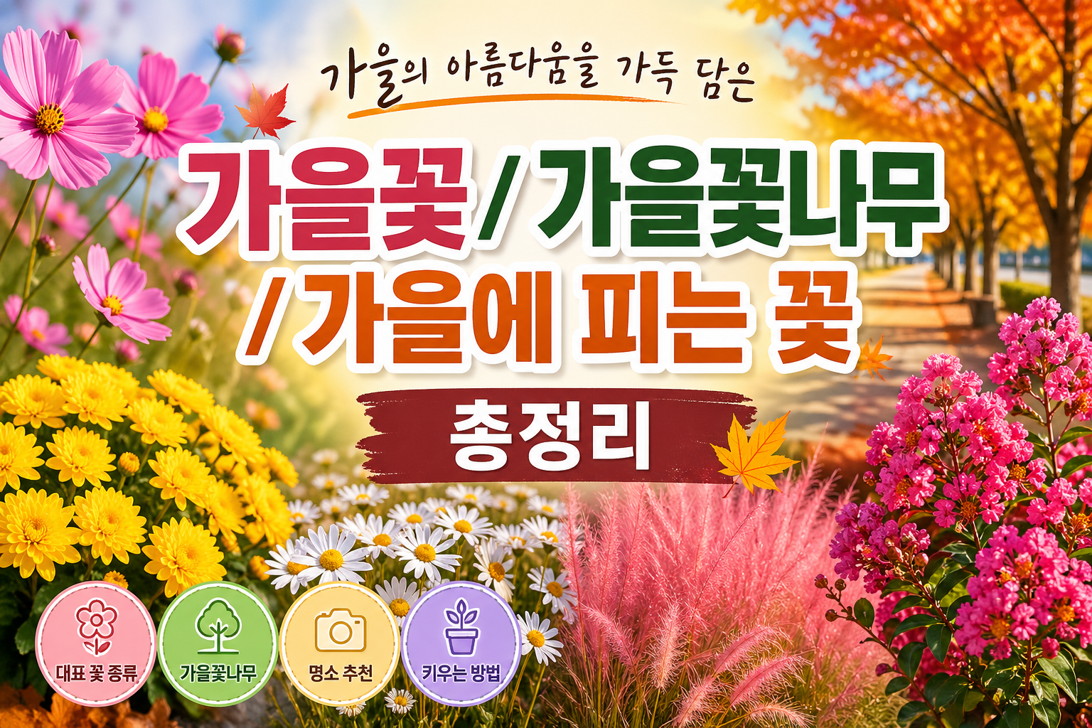 가을꽃