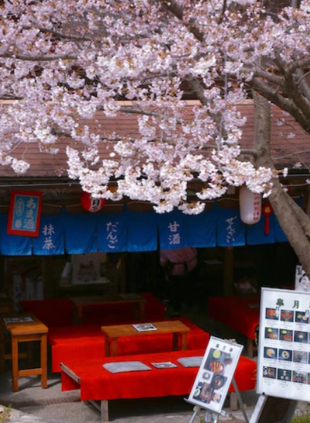 오사카 여행하기 좋은 시기