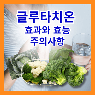 글루타치온 Glutatione 효과와 효능 및 주의사항