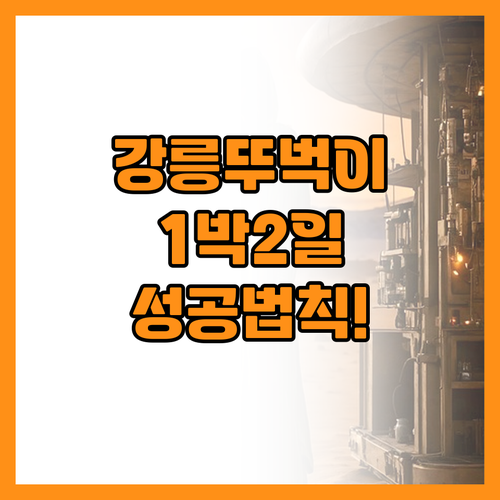 뚜벅이도 가능한 강릉 1박2일 여행 ..