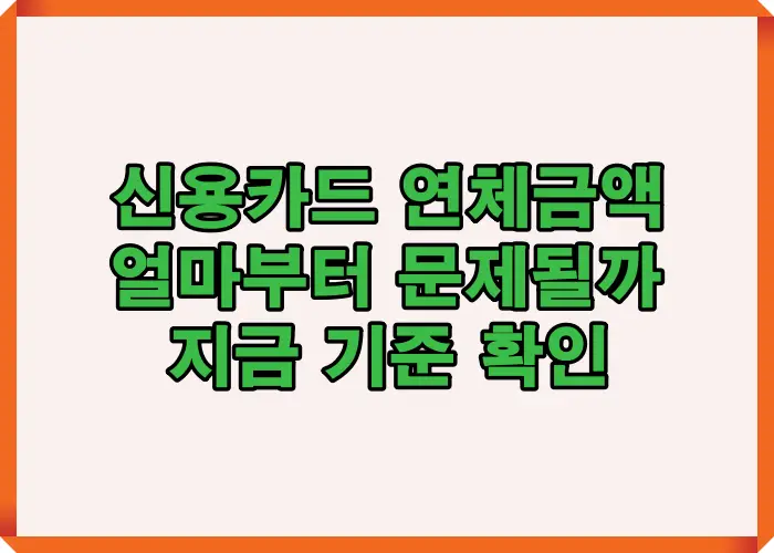 신용카드 연체금액이 얼마부터 문제로 인식되는지와 소액 연체와 기준 초과 연체의 판단 차이를 정리한 이미지