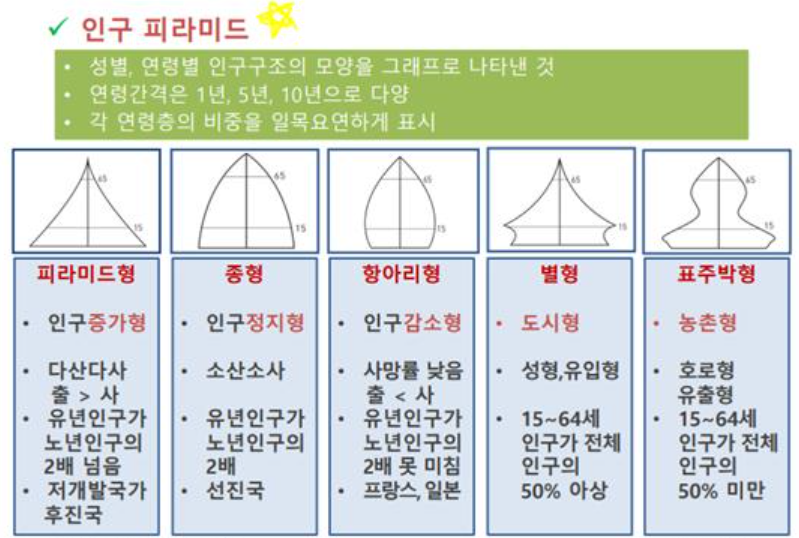 인구-피라미드-종류