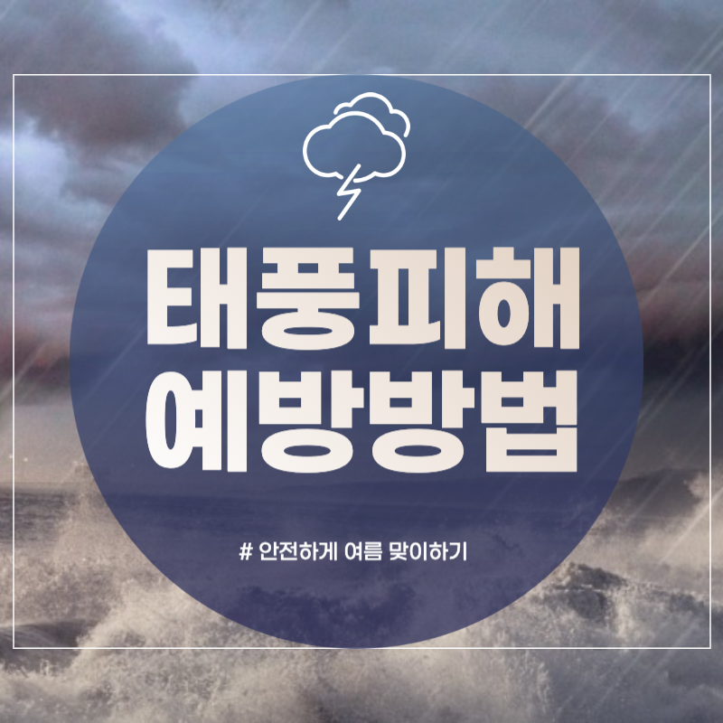 태풍 예방방법