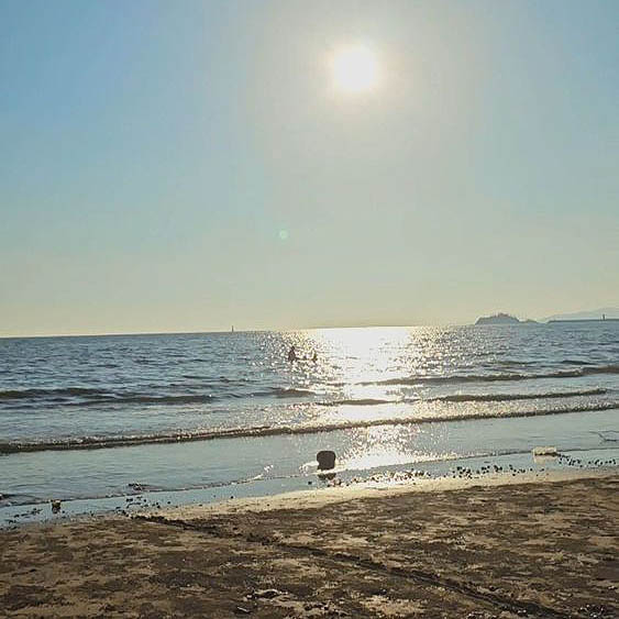 태안군 몽산포오션캠핑장 소개