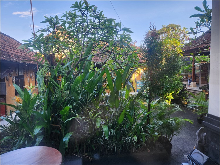 선타리홈스테이(suntarihomestay)-정원