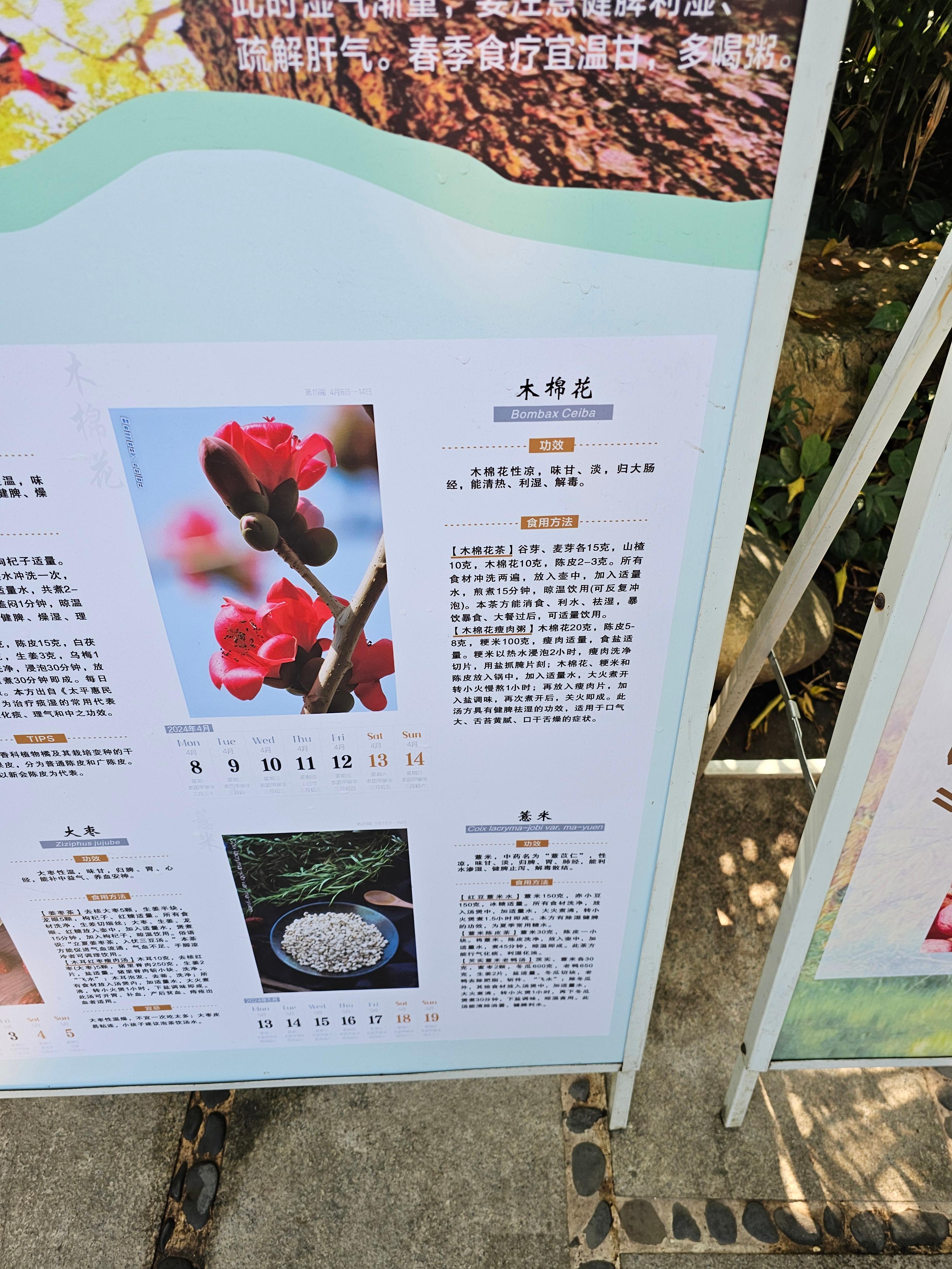 광저우 화남식물원