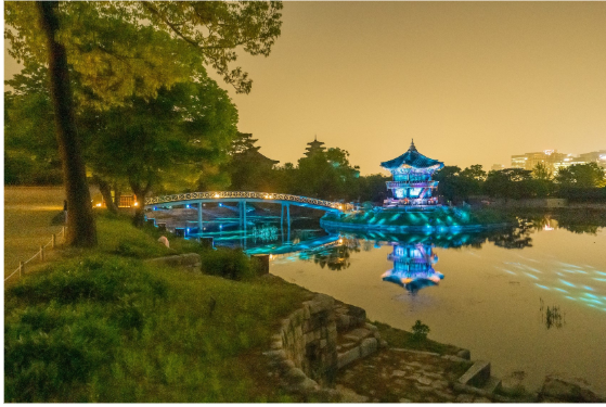 별빛야행 이미지