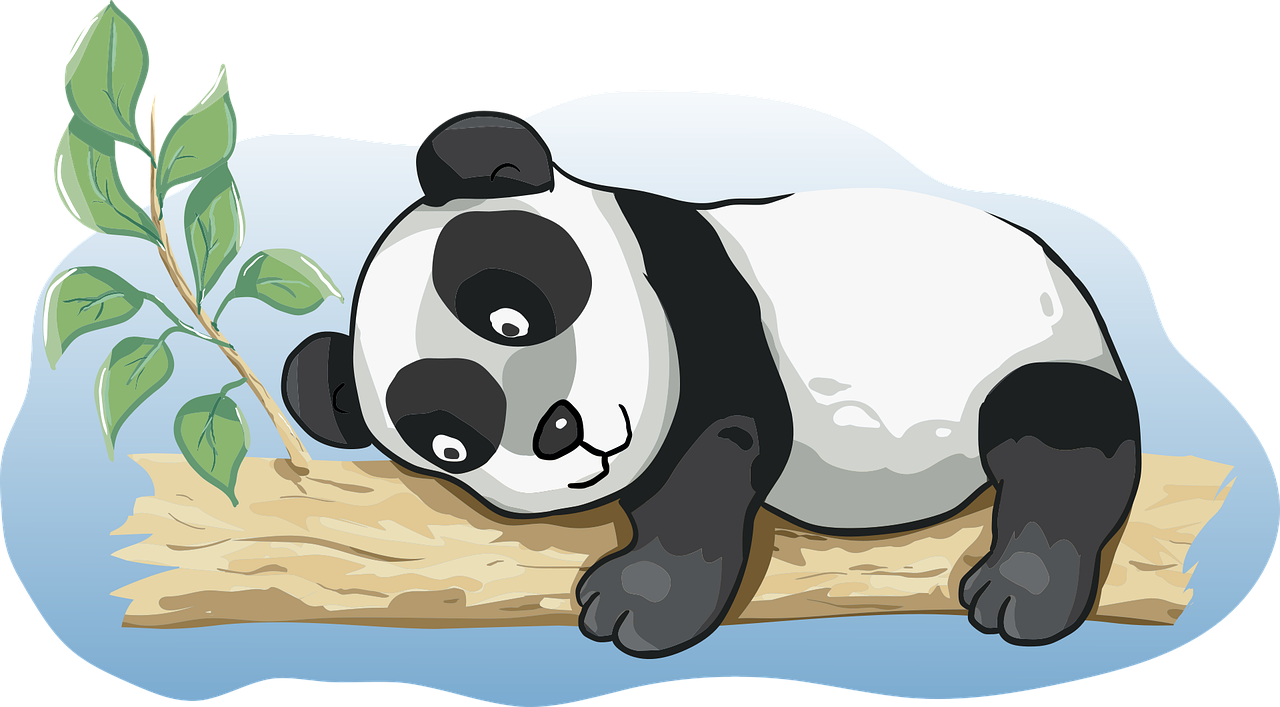 푸바오 동생 이름&amp;#44; 투표결과 바로보기