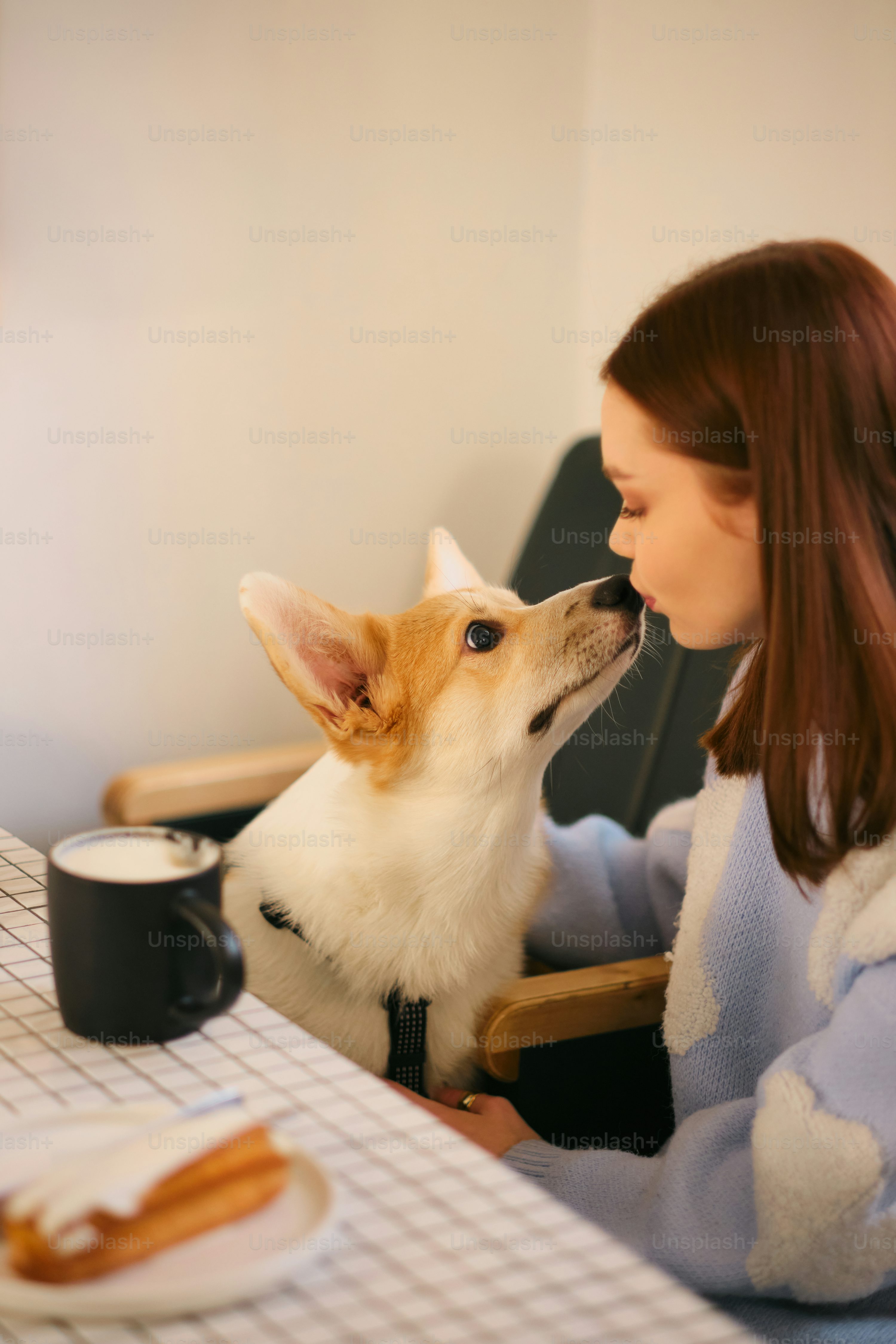 보호자의 표정을 읽는 강아지의 심리, ‘눈빛으로 감정을 해석하다’
