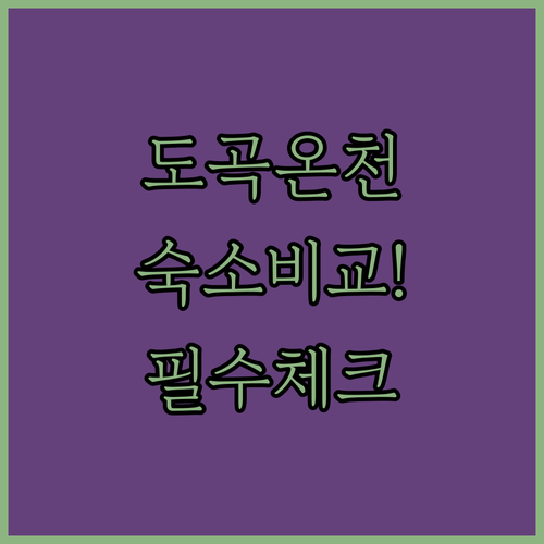 화순 도곡온천 단지 숙소 비교 쉼 무..