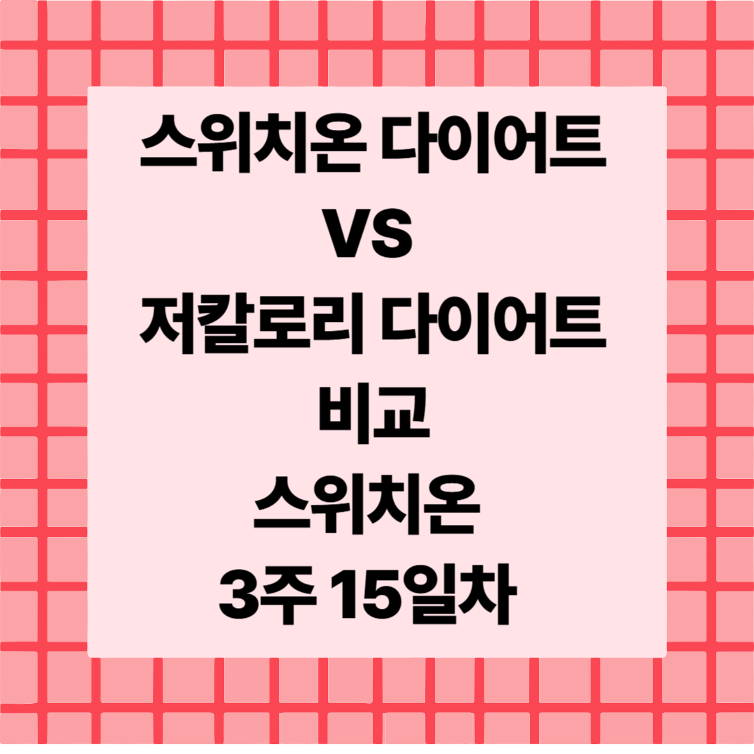 스위치온 다이어트 VS 저칼로리 다이어트 비교ㅣ스위치온 다이어트 2주 15일차 후기