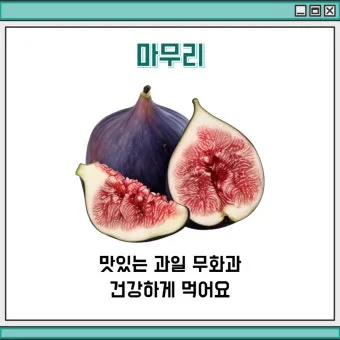 무화과 효능 칼로리 먹는 방법 수확시기 보관법_9