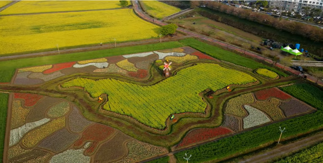 창녕 유채꽃축제.낙동강 유채축제_2023년.행사안내