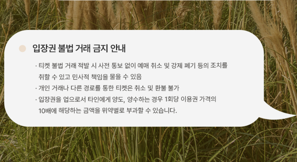 2025 화담숲 단풍축제 예약 완벽 가이드 &amp;#124; 절정시기&middot;꿀팁 총정리