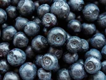 저속 노화를 위한 10가지 실천법: 오늘부터 달라지는 건강 루틴