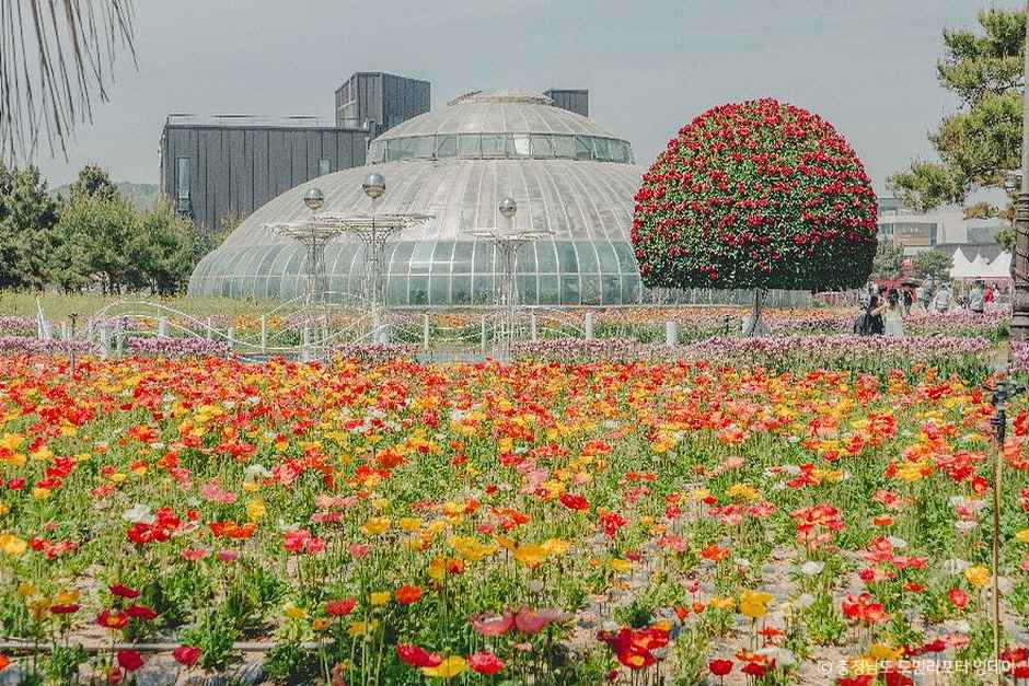 안면도 자연휴양림