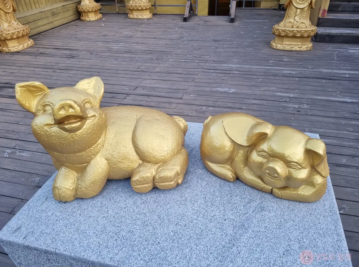 돼지상