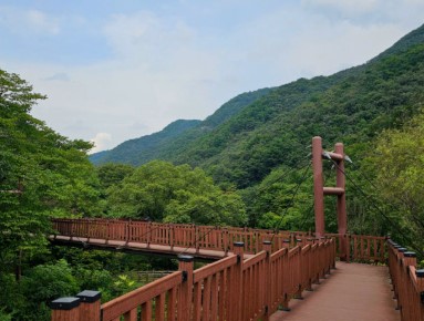 금산자연휴양림