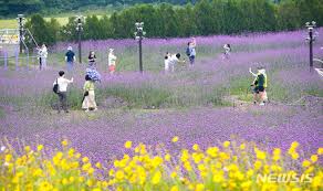 8월 제주도 가볼만한곳10곳