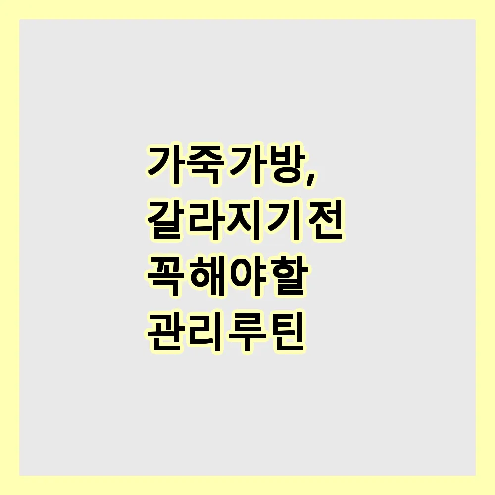 가죽 가방, 갈라지기 전 꼭 해야 할 관리 루틴