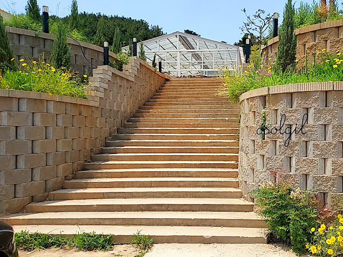 제부도 애견동반 카페 '오솔길'