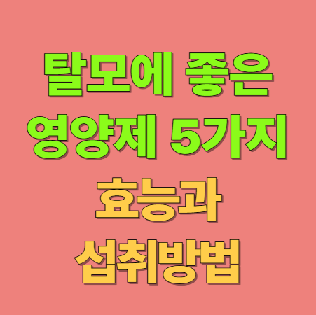탈모에 좋은 영양제 5가지 효능과 올바른 섭취 방법